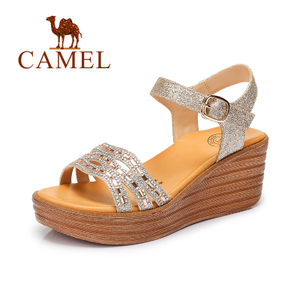 Camel/骆驼 A62153627