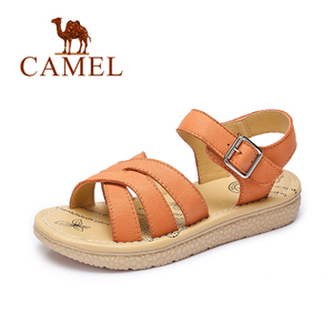 Camel/骆驼 A62027606