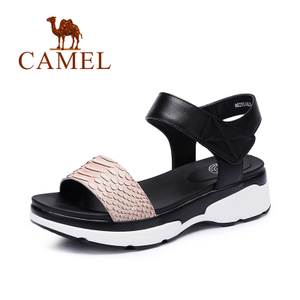 Camel/骆驼 A62504636