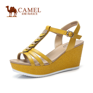 Camel/骆驼 A52504605