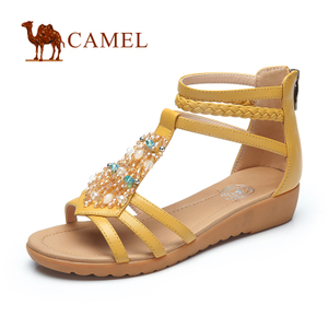 Camel/骆驼 A93504613