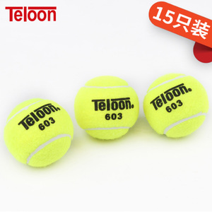 Teloon/天龙 603-15