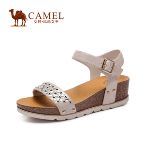 Camel/骆驼 A52136617