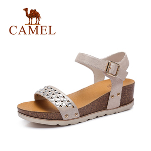 Camel/骆驼 A52136617