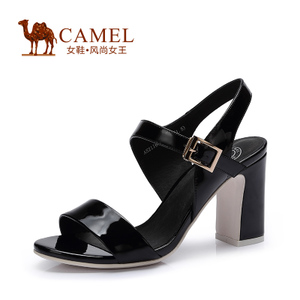 Camel/骆驼 A52116603