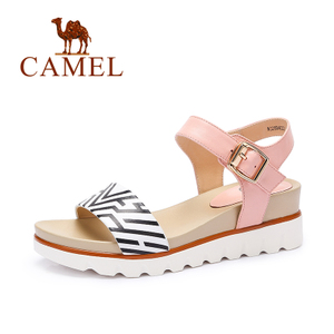 Camel/骆驼 A62504623