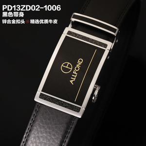 PZD402101-1006