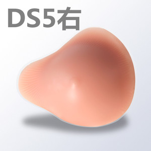 DS00-01-DS5