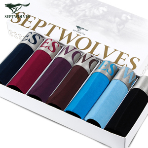 Septwolves/七匹狼 95040-7