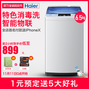 Haier/海尔 EB65M2WHU1