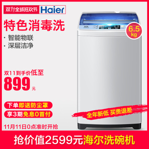 Haier/海尔 EB65M2WHU1