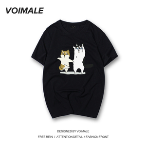 Voimale TDA6E0107