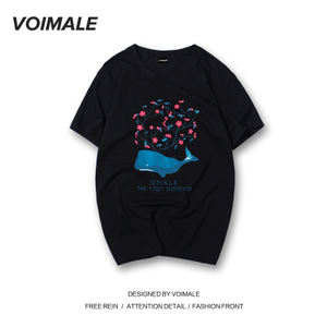 Voimale TDA6E0066