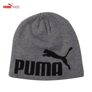 Puma/彪马 PM834016