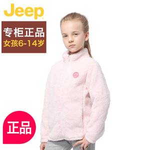 JEEP/吉普 JYV51806