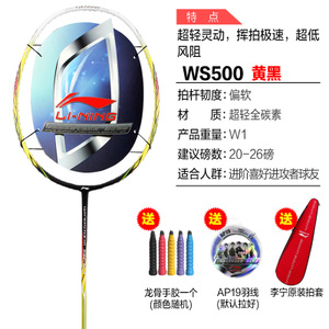 WS500