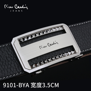 Pierre Cardin/皮尔卡丹 C6A839101-BYA