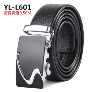 YL-L601