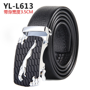 YL-L613