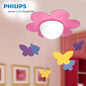 Philips/飞利浦 LED13W