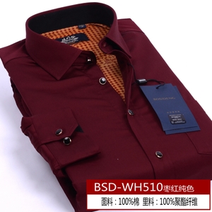 Bosideng/波司登 BSD-WH510