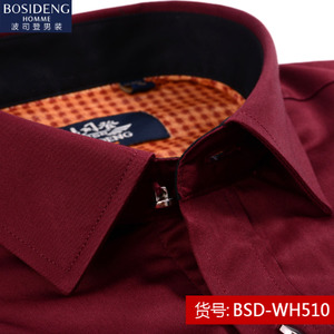 Bosideng/波司登 BSD-WH510