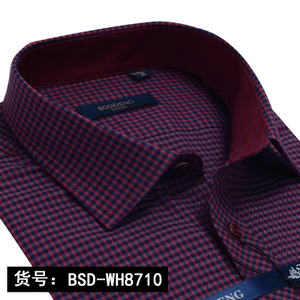 Bosideng/波司登 BSD-WH8710