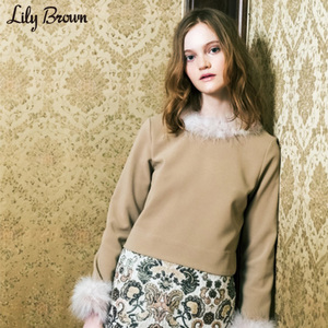 Lily Brown LWFT164024