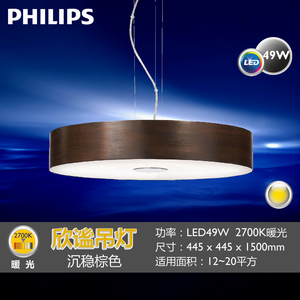 LED49W2700K445MM