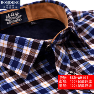 Bosideng/波司登 BSD-WH101