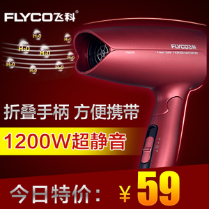 Flyco/飞科 FH6256