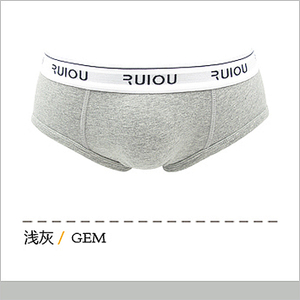 RM0004-GEM