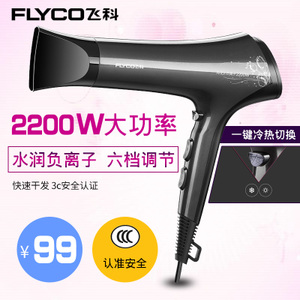 Flyco/飞科 FH6271