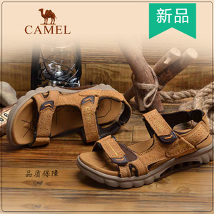 Camel/骆驼 A262211265