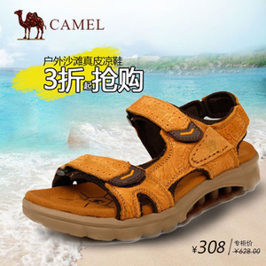 Camel/骆驼 A262211265