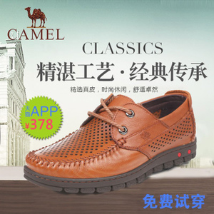 Camel/骆驼 A262211285