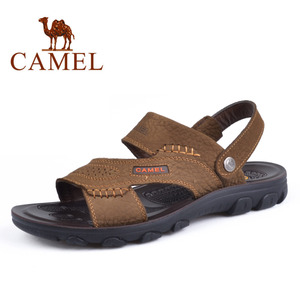 Camel/骆驼 2211034