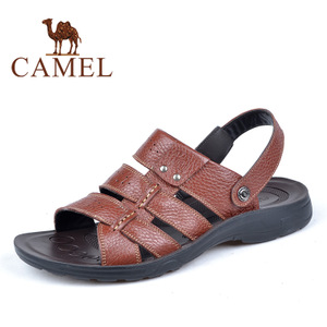 Camel/骆驼 2287039