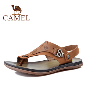 Camel/骆驼 2344065