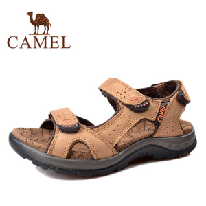 Camel/骆驼 2307079