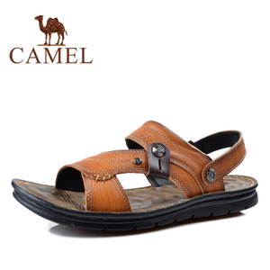Camel/骆驼 2287103
