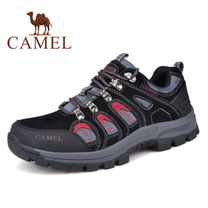 Camel/骆驼 A432303034