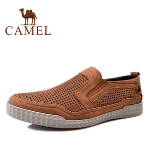 Camel/骆驼 2213118
