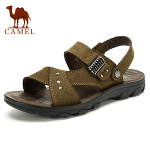 Camel/骆驼 2211037