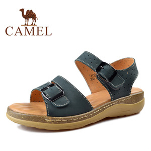 Camel/骆驼 1326035