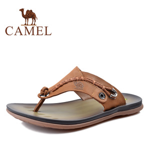 Camel/骆驼 2344064
