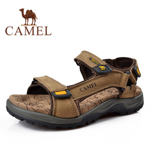 Camel/骆驼 2307118
