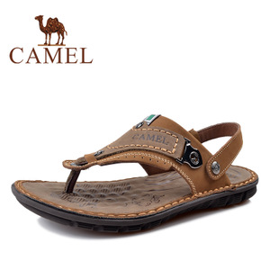Camel/骆驼 A2211187