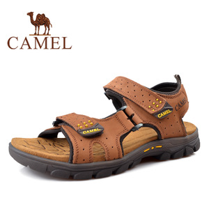 Camel/骆驼 A522211212
