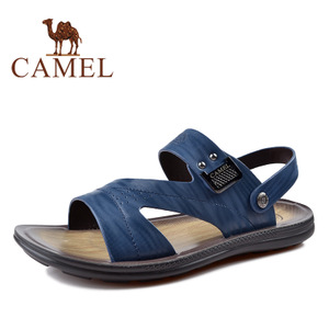 Camel/骆驼 2211196